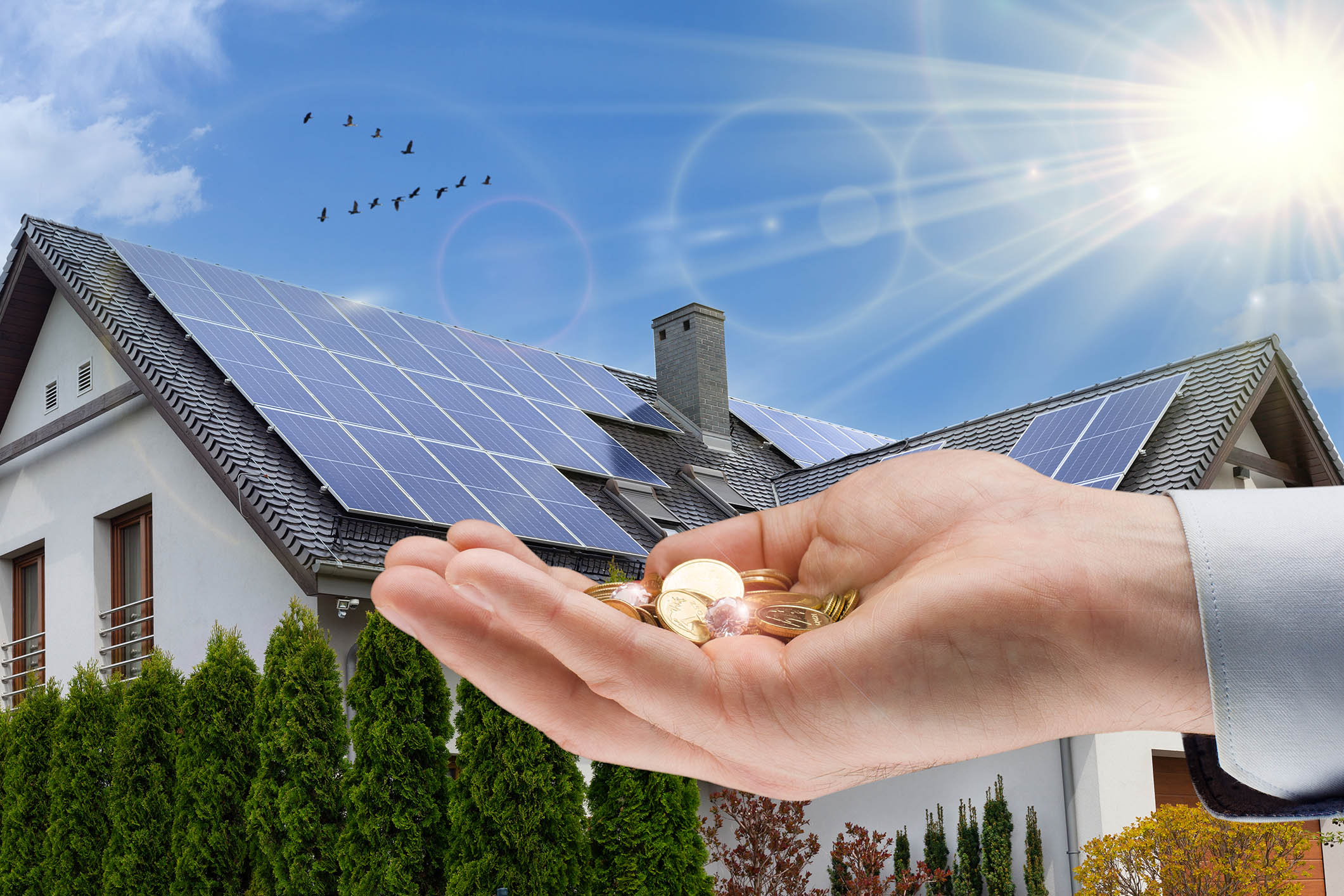 hand holding coins, solar panels on roof of a house, sunshine